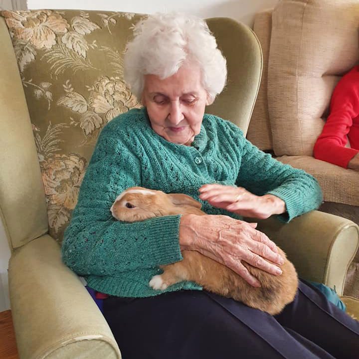 elderly woman holding a brown rabbit