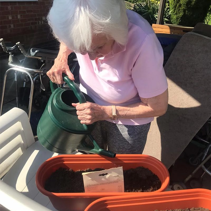 elderly woman using a watering can to water plants